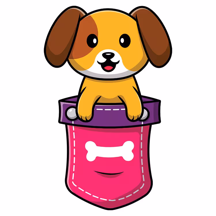 استیکر پارچه و لباس مدل دی تی اف طرح جیبی کد H10.48 مجموعه 5 عددی