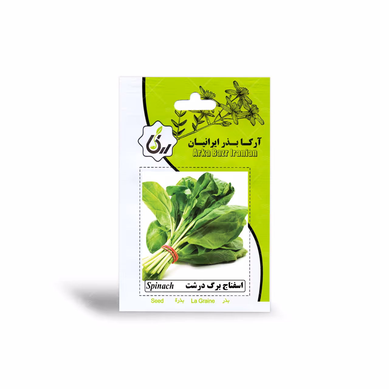 بذر اسفناج برگ درشت آرکا بذر ایرانیان