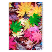 دفتر مشق سه بعدی برگ