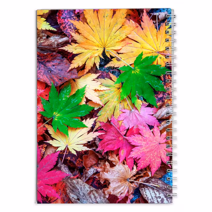 دفتر مشق سه بعدی برگ