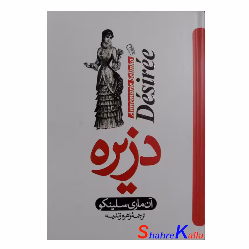 کتاب دزیره اثر آن ماری سیلینکو انتشارات آزرمیدخت