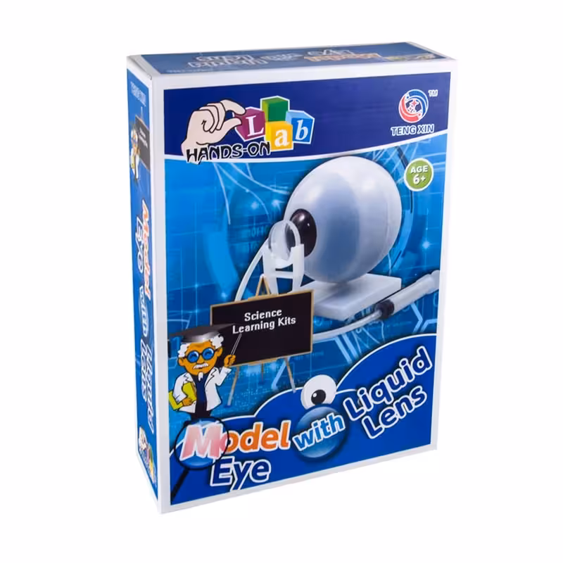 کیت آموزشی تنگ ژین مدل شبیه ساز چشم کد 1278