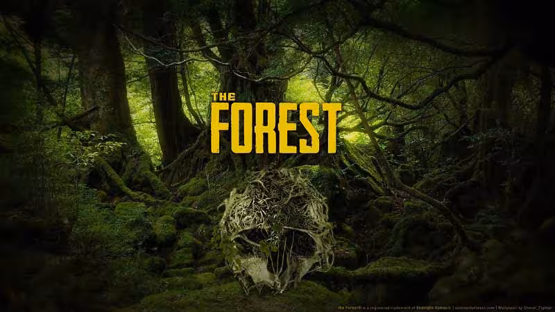 سی دی کی اورجینال The Forest کامپیوتر (PC)