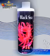 محلول بنفش کننده صخره پرپل 250 میل بلک سی