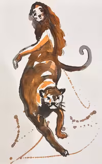 طراحی آب مرکب واکولین