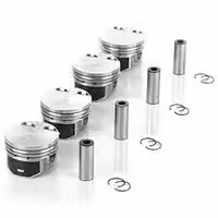 3107424 پیستون EF7-050 با خار وگژ پین (کارتک سیستم) EZAM