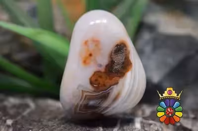 راف عقیق سلیمانی