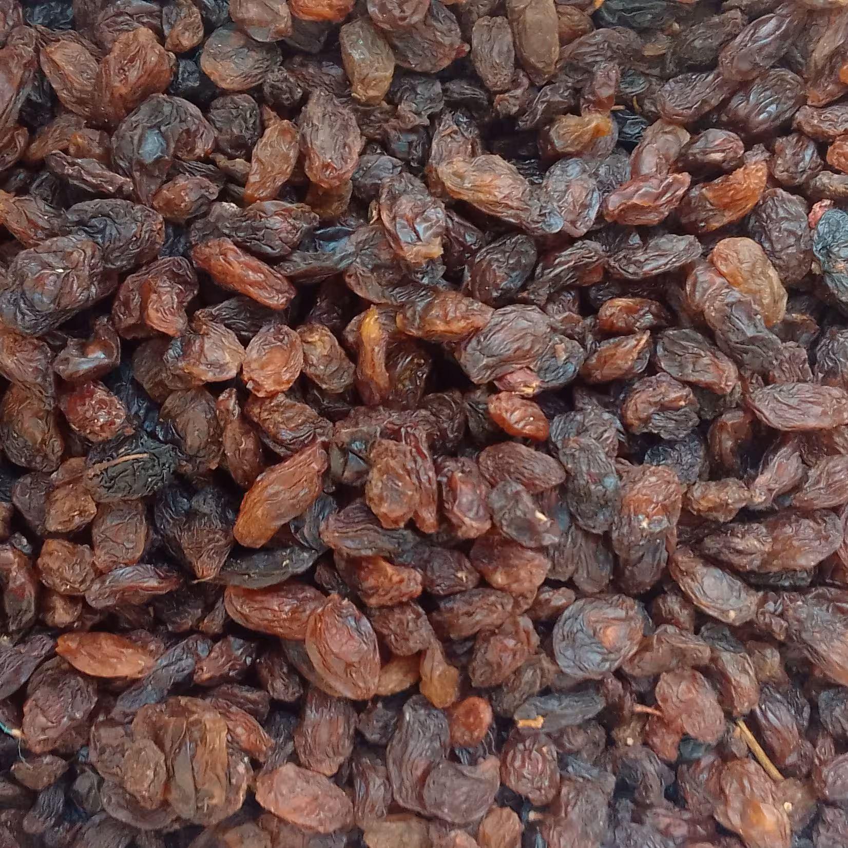 مویز فخری (500 گرم )