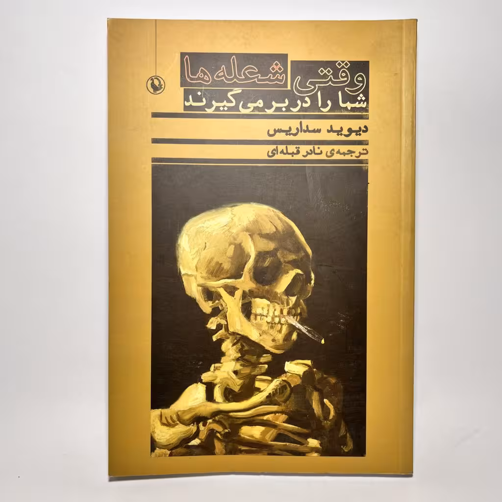 خرید کتاب وقتی شعله ها شما را در بر می گیرند اثر دیوید سداریس - کتابفروشی میم