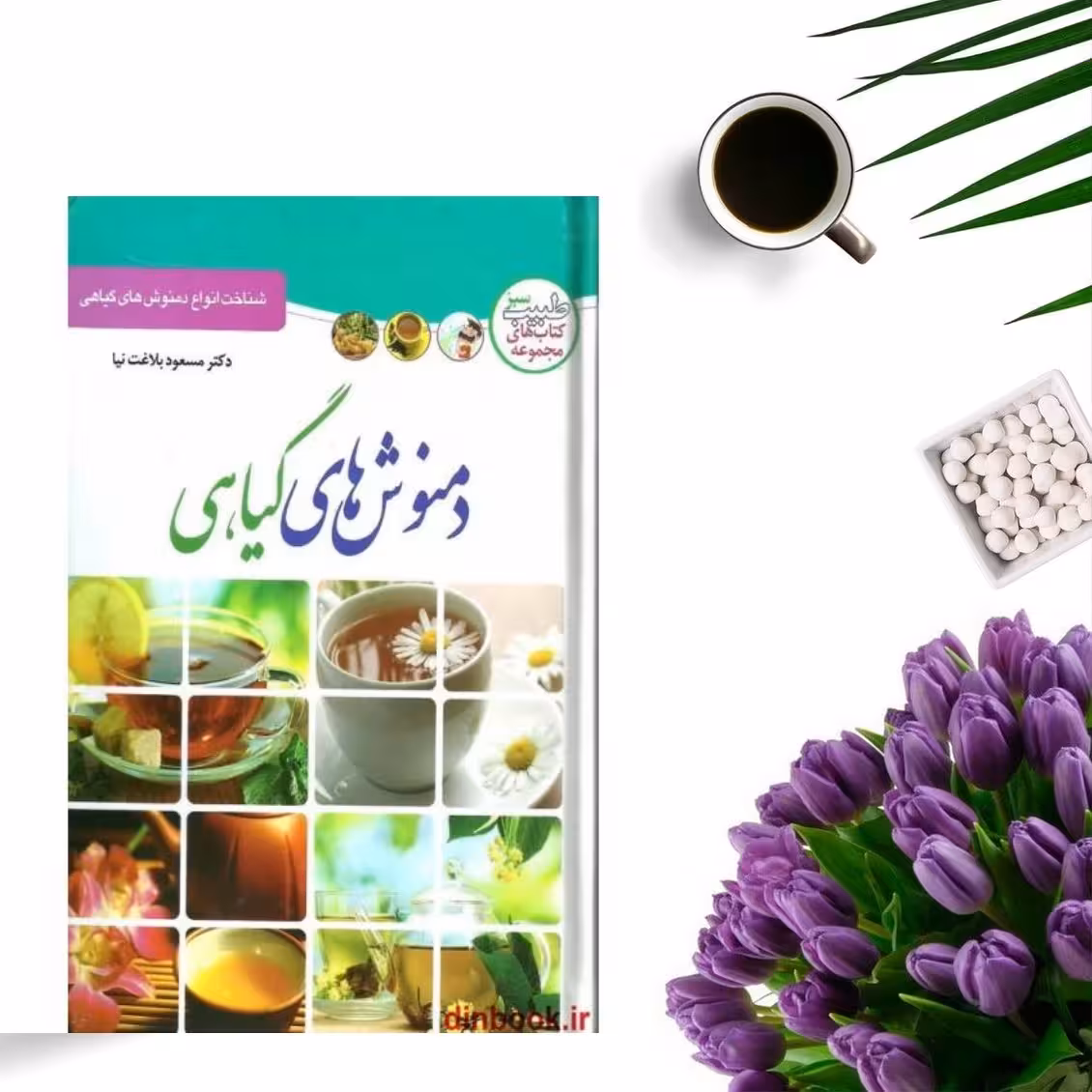 کتاب  دمنوش های گیاهی اثر مسعود بلاغت نیا انتشارات ملینا