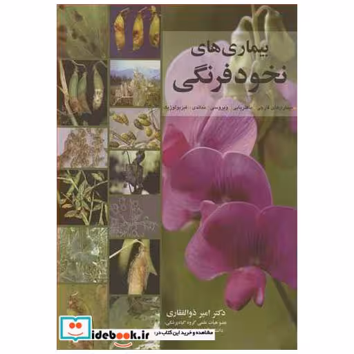 بیماری های نخودفرنگی بیماری های قارچی، باکتریایی، ویروسی، نماتدی . فیزیولوژیک