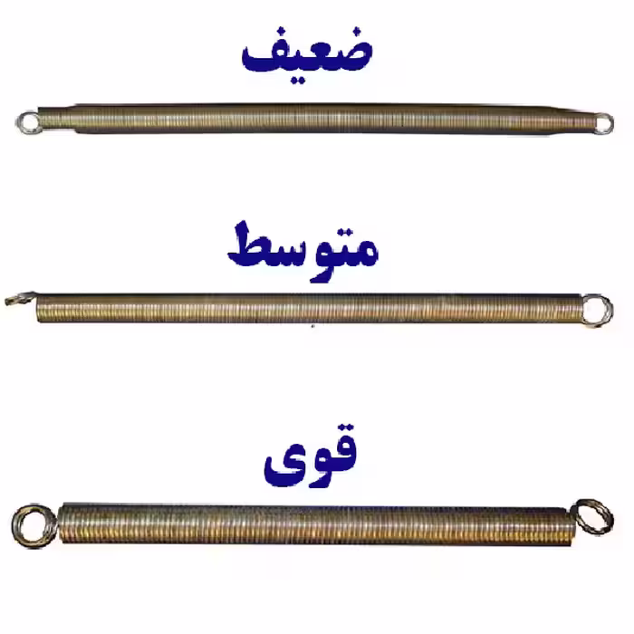 فنر فیزیوتراپی