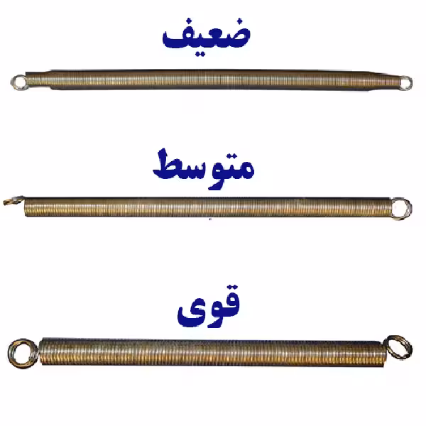 فنر فیزیوتراپی