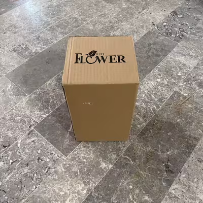 ست سطل و فرچه ردفلاور مدل 601