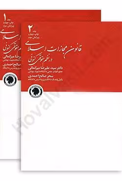 قانون مجازات اسلامی در نظم حقوقی کنونی (دو جلدی)