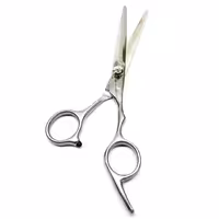 قیچی آرایشگاهی دالاس مدل HZ-800