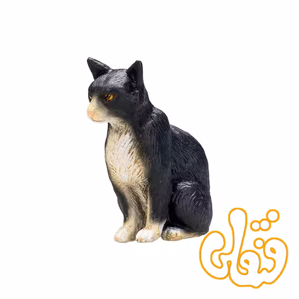 گربه نشسته سیاه و سفید Cat Sitting Black and White 387371