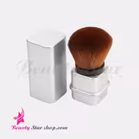 براش رژگونه کشویی گلدن فیشر مکعبی مدل 20002G
