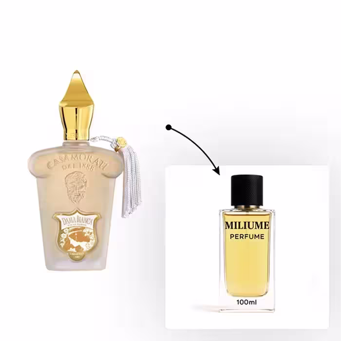 اسانس عطر Xerjoff Casamorati Dama Bianca برند Givaudan - کد 2485 - کازاموراتی زرجف داما بیانکا 100ML - میلیوم پرفیوم