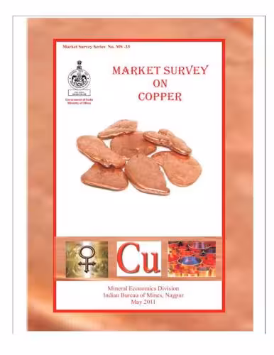 خرید و دانلود نسخه کامل کتاب Market Survey on Copper