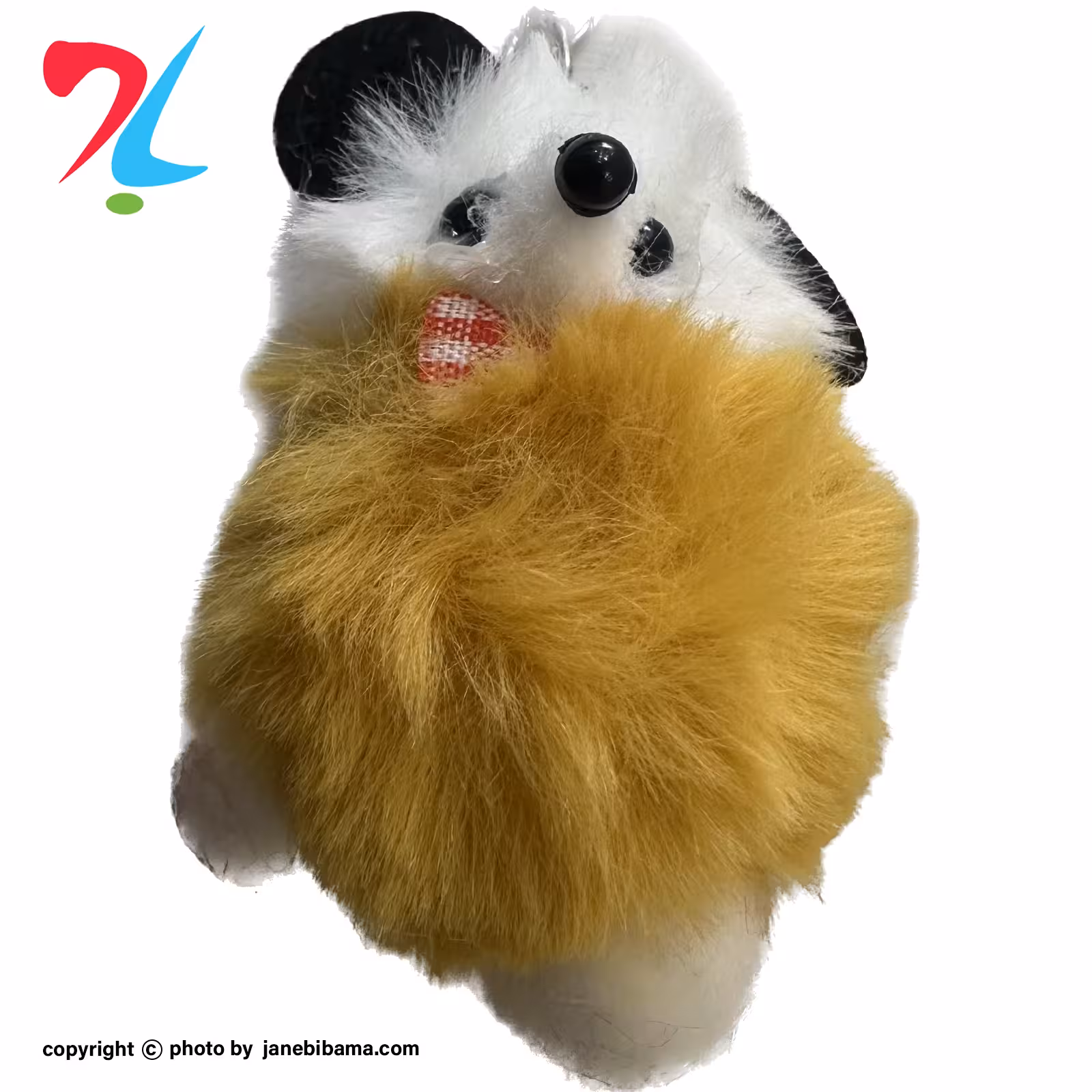 جاسوئیچی موش پشمالو