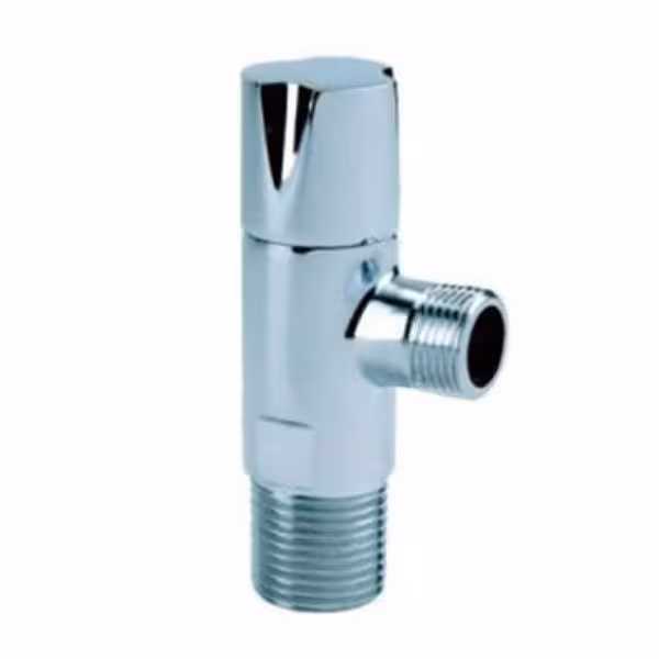 شیر پیسوار کاستا قهرمان