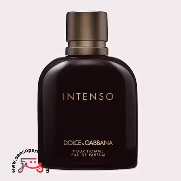 عطر ادکلن دی اند جی دلچه گابانا پور هوم اینتنسو | dolce gabbana pour homme intenso
