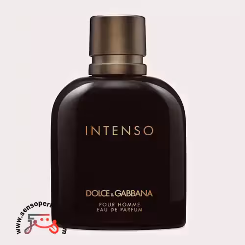 عطر ادکلن دی اند جی دلچه گابانا پور هوم اینتنسو | dolce gabbana pour homme intenso