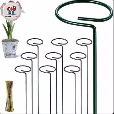 پایه نگهدارنده گل 6 عددی