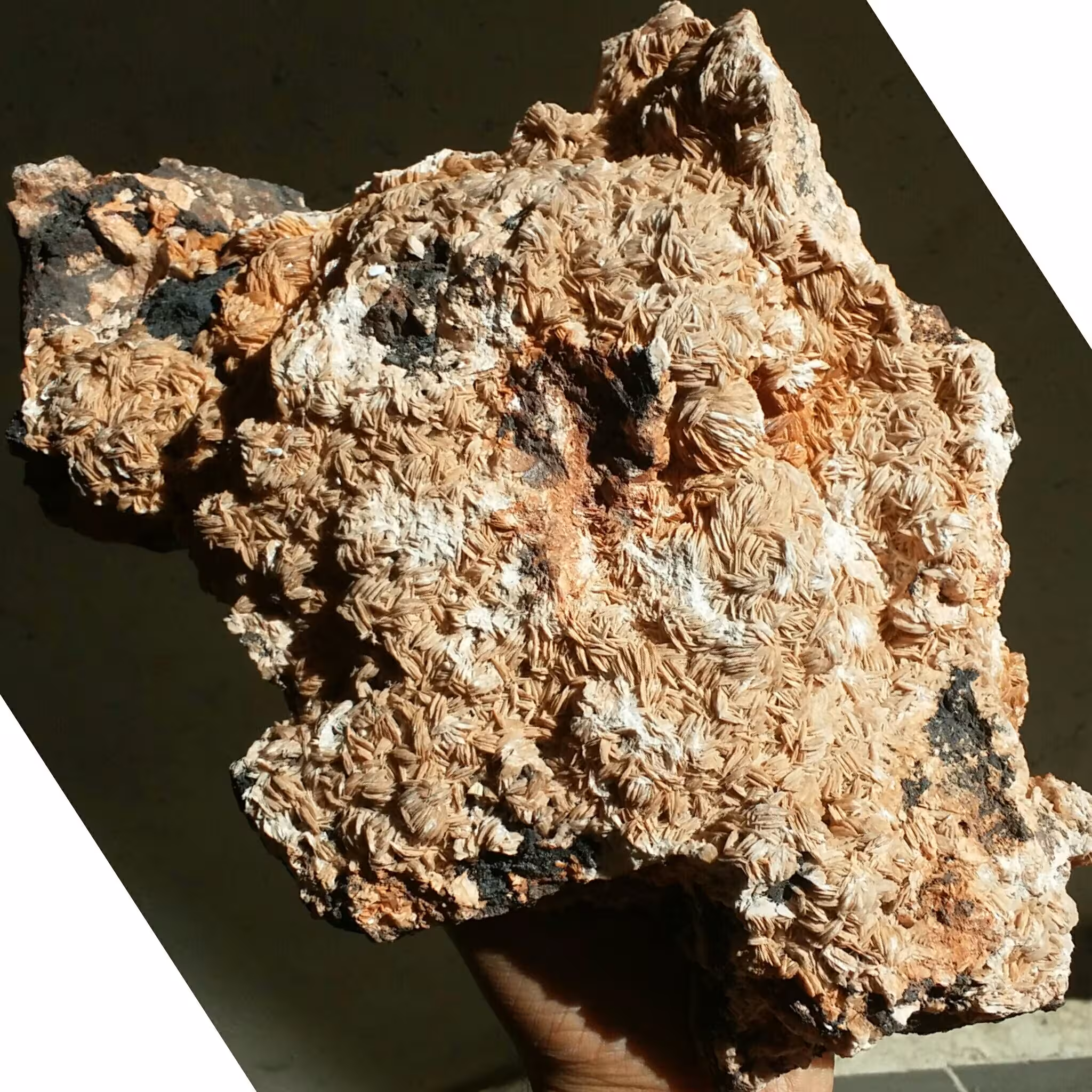 نمونه فوق کلکسیونی بسیااار حجیم و غووولپیکر   باریت محشر سنگ بسیار زیبا 100 در 100 طبیعی خارق العاده تک بینظیر
کد 9858