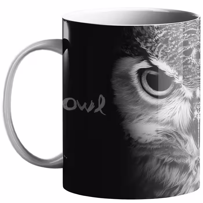 ماگ طرح جغد کد 10