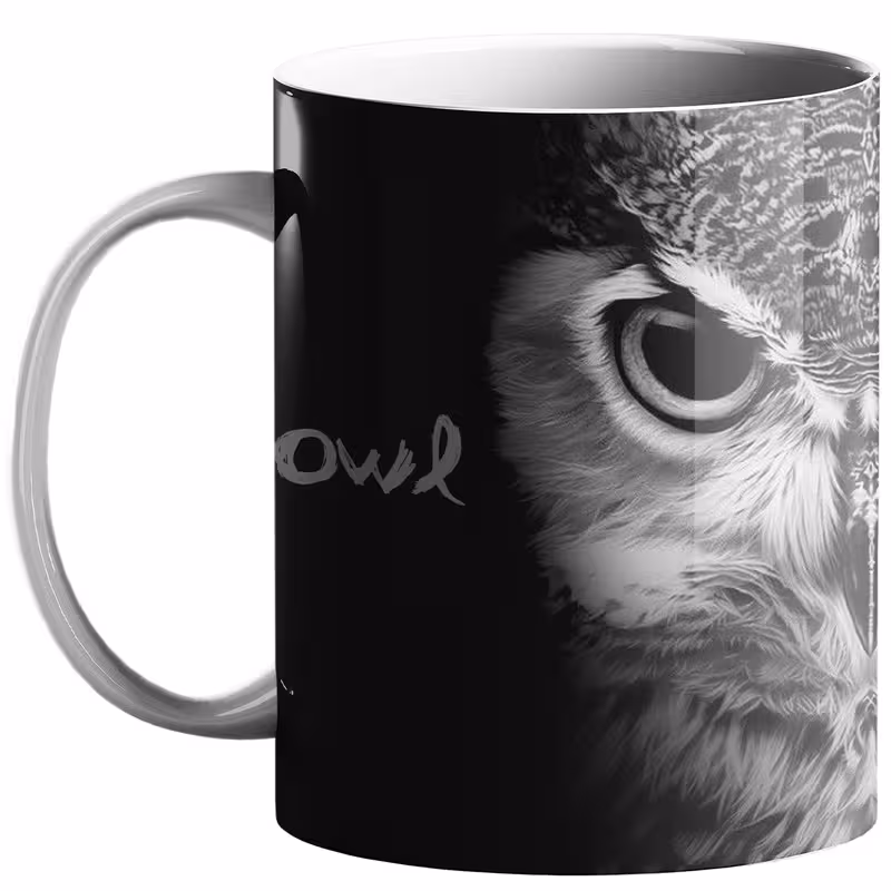 ماگ طرح جغد کد 10
