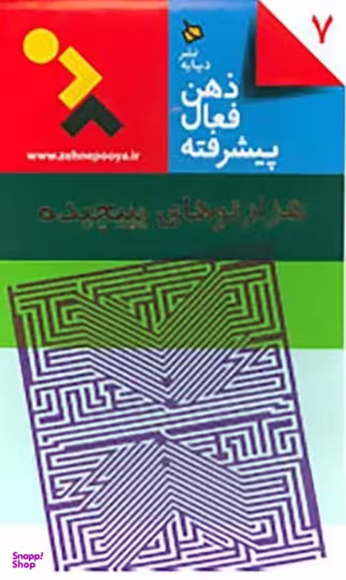 کتاب هزارتو های پیچیده اثر جمعی از نویسندگان انتشارات دیبایه