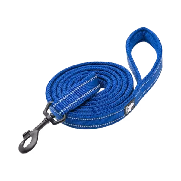 بند قلاده مدل TLL2111 برند TrueLove ترولاو رنگ آبی سلطنتی 110 سانتی سایز L