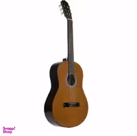 گیتار فرد مدل پارسی