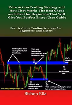 خرید و دانلود نسخه کامل کتاب Price Action Trading Strategy: The Best Cheat and Sheet for Beginners That Will Give You Perfect Entry: User Guide - Original PDF