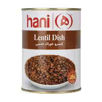 کنسرو خوراک عدسی هانی 380 گرمی