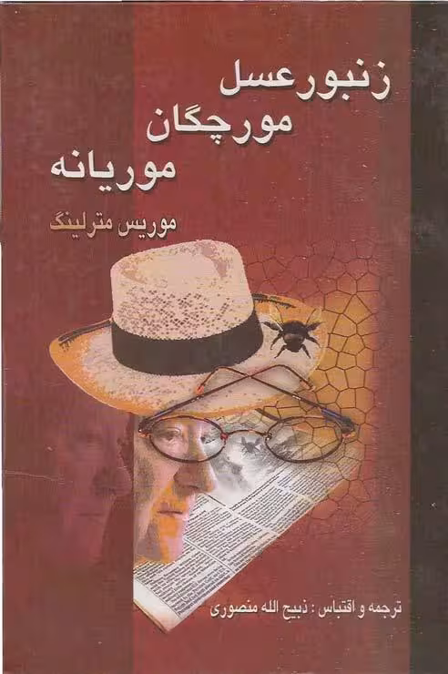 زندگی زنبور عسل.مورچگان.موریانه