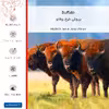 برچسب پوششی ماهوت مدل Buffalo مناسب برای گوشی موبایل آنر 7