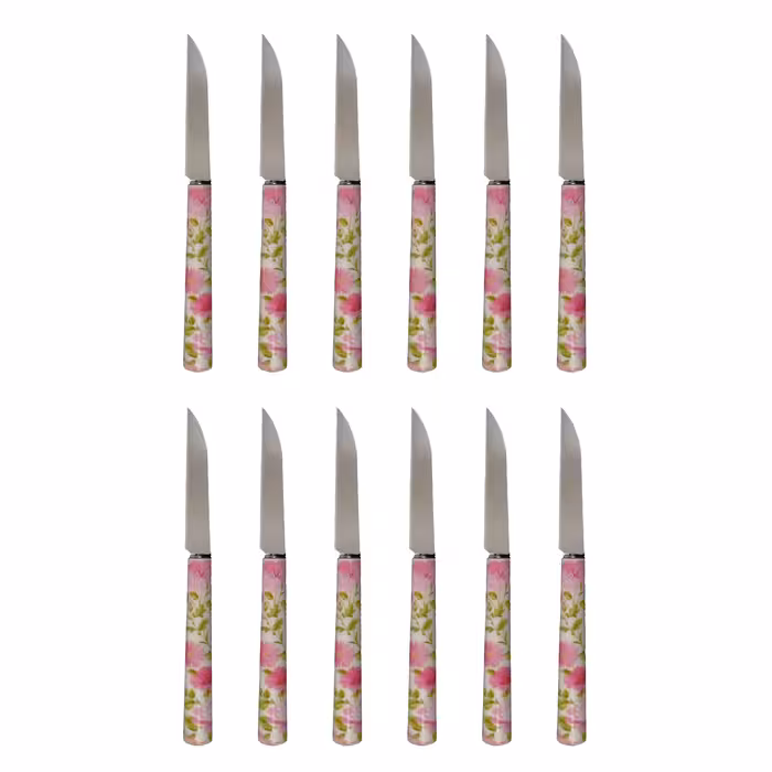 کارد میوه خوری دی ام جی مدل NICE-T بسته 12 عددی