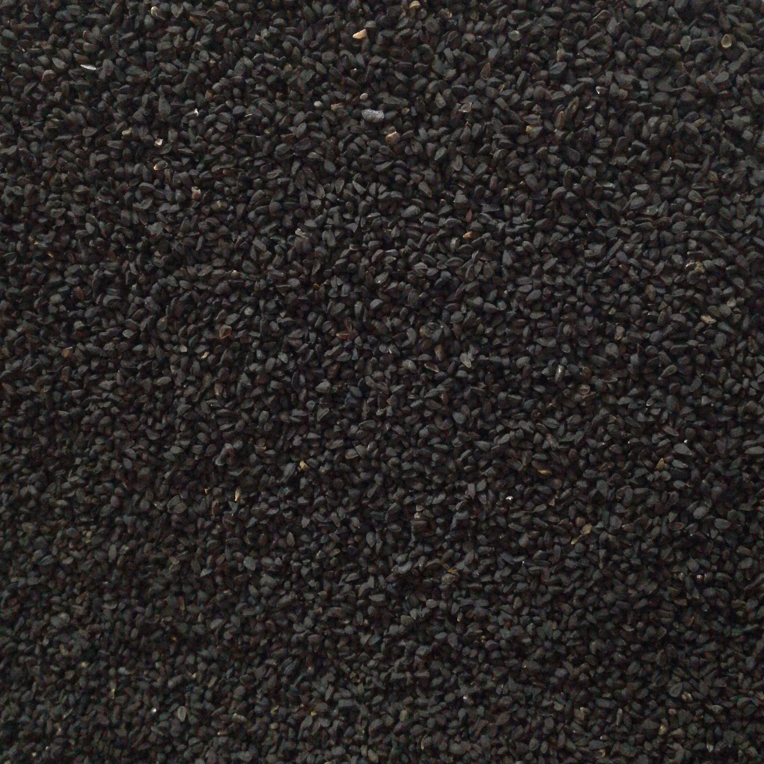 سیاهدانه  نیم کیلویی