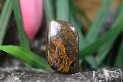 چشم ببر اهنی