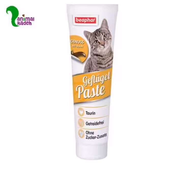 خمیر پیست گربه طعم مرغ برند بیفار 100 گرمی