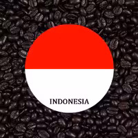 دان قهوه روبوستا اندونزی دارک رست فله – 5kg