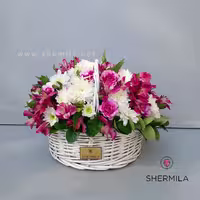 سبد گل مروا