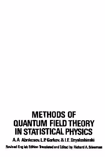 خرید و دانلود نسخه کامل کتاب Quantum field theoretical methods in statistical physics