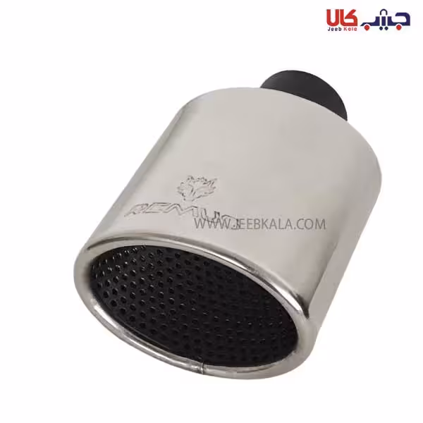 سر اگزوز ریموس بیضی