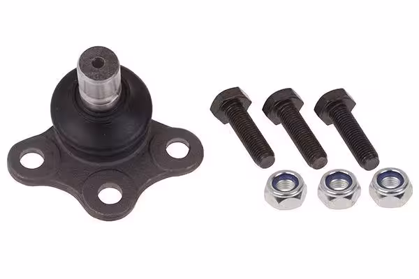 سیبک طبق فلوئنس