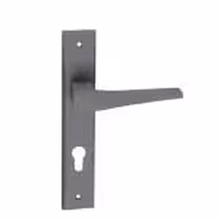 دستگیره در بهریزان  مدل E17SG2A  طوسی تیره