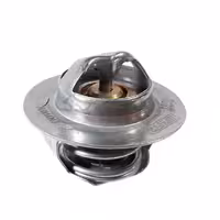 ترموستات 75 درجه EF7 | مولتی یدک